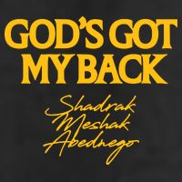 God’S Got My Back Shadrach Meshach Abednego Microfiber Hand Towel