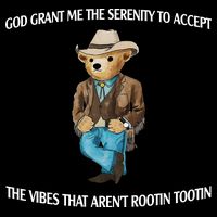 God Grant Me The Serenity To Accept The Vibes That Arent Rootin Tootin Flat Bill Trucker Hat