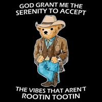 God Grant Me The Serenity To Accept The Vibes That Aren’t Rootin Tootin 16 in Basic Backpack