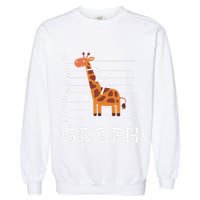 GRaph Giraffe Mathematician Funny Animal Pun Garment-Dyed Sweatshirt