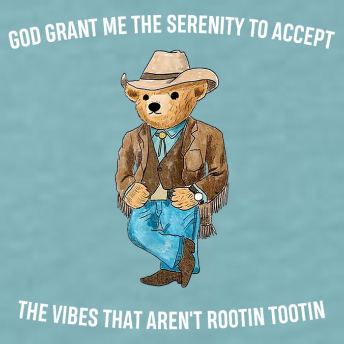 God Grant Me The Serenity To Accept The Vibes That Aren’t Rootin Tootin Sueded Cloud Jersey T-Shirt