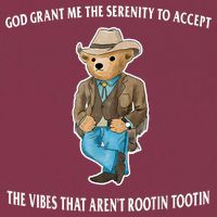 God Grant Me The Serenity To Accept The Vibes That Aren’t Rootin Tootin 16oz Travel Tumbler