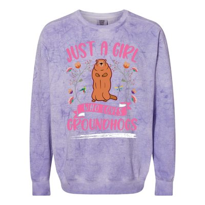 Groundhog Girl Marmot Woodchuck Colorblast Crewneck Sweatshirt