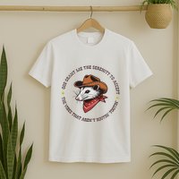 God Grant Me The Serenity Accept Vibes ArenT Rootin Tootin T-Shirt