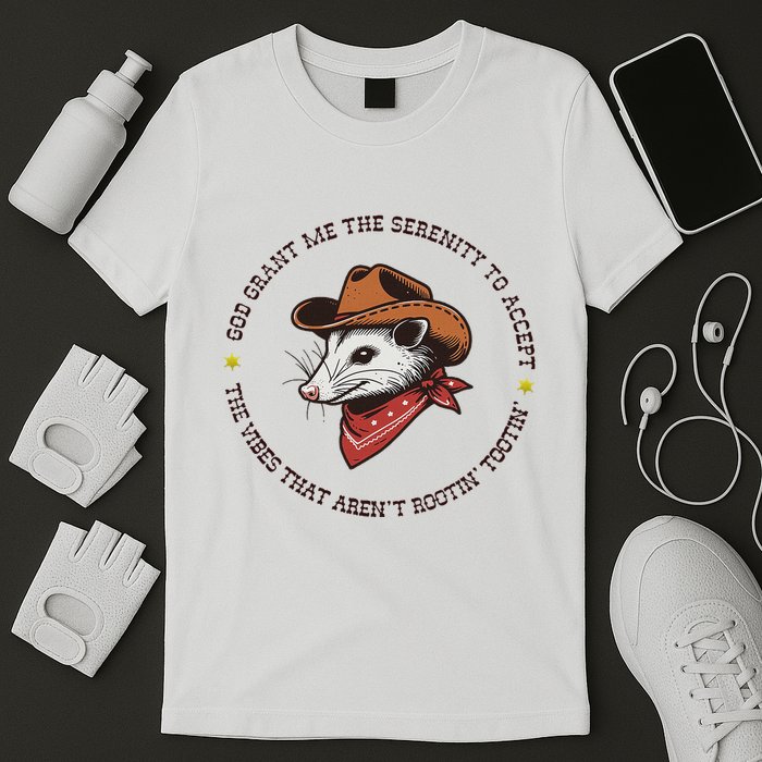 God Grant Me The Serenity Accept Vibes ArenT Rootin Tootin T-Shirt