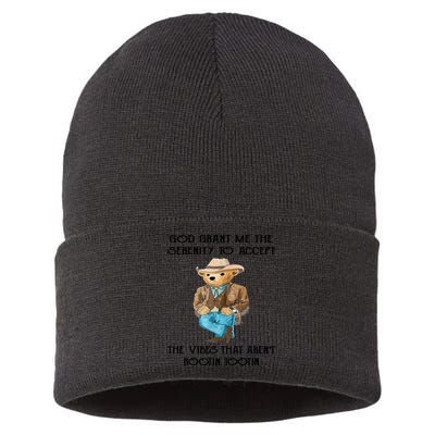 God Grant Me The Serenity To Accept The Vibes Sustainable Knit Beanie