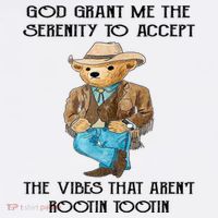 God Grant Me The Serenity To Accept The Vibes T-Shirt