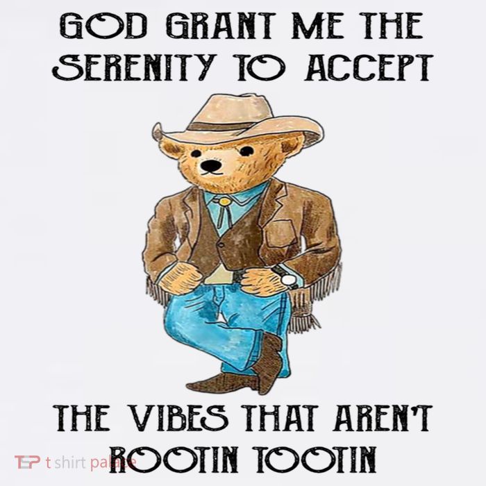 God Grant Me The Serenity To Accept The Vibes Premium T-Shirt