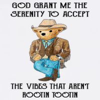God Grant Me The Serenity To Accept The Vibes Toddler T-Shirt