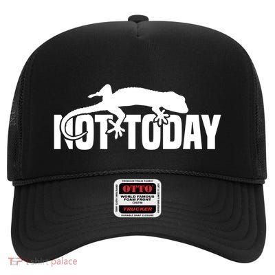 Gargoyle Gecko Outfit For Lizard Owner Reptile Keeper Gift High Crown Mesh Back Trucker Hat