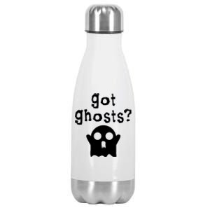 Got Ghosts Paranormal Gift Stainless Steel Insulated Water Bottle