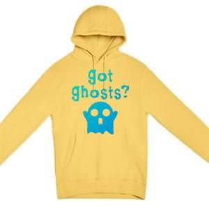 Got Ghosts Paranormal Gift Premium Pullover Hoodie