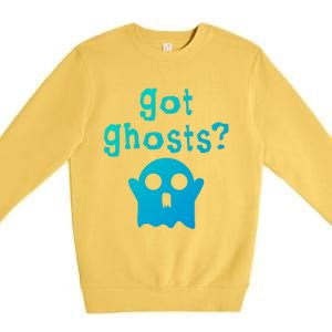 Got Ghosts Paranormal Gift Premium Crewneck Sweatshirt