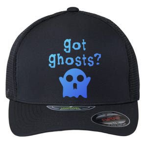 Got Ghosts Paranormal Gift Flexfit Unipanel Trucker Cap