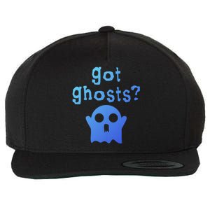 Got Ghosts Paranormal Gift Wool Snapback Cap