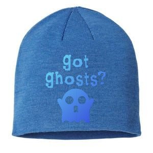 Got Ghosts Paranormal Gift Sustainable Beanie