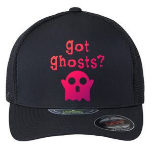 Got Ghosts Paranormal Gift Flexfit Unipanel Trucker Cap