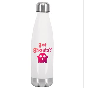 Got Ghosts Paranormal Gift Stainless Steel Insulated Water Bottle