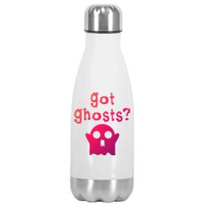 Got Ghosts Paranormal Gift Stainless Steel Insulated Water Bottle