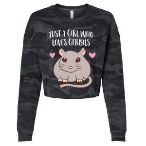 Gerbil Girl Pet Owner Gift Just a Girl Who Loves Gerbils Cropped Pullover Crew