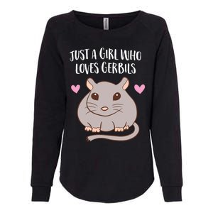 Gerbil Girl Pet Owner Gift Just a Girl Who Loves Gerbils Womens California Wash Sweatshirt