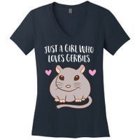 Gerbil Girl Pet Owner Gift Just a Girl Who Loves Gerbils Women's V-Neck T-Shirt