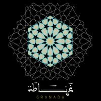 Granada Geometric Pattern Tutorial Premium T-Shirt