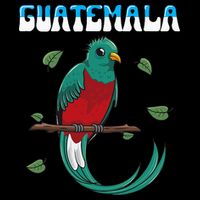 Guatemala Guatemalan Quetzal Impact Tech Backpack
