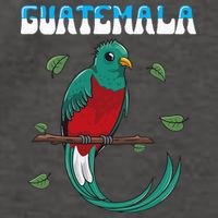 Guatemala Guatemalan Quetzal Vector Backpack