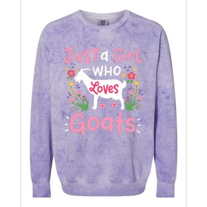 Goats Goat Rancher Farm Colorblast Crewneck Sweatshirt