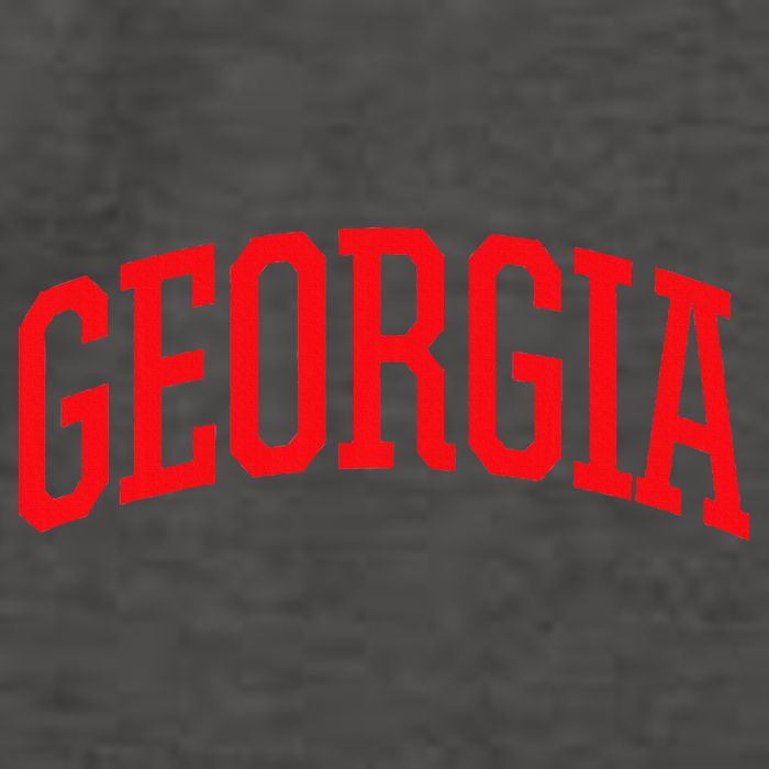 Georgia Georgia Sports Collegestyle Vector Backpack
