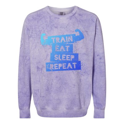 Gym Gift Train Eat Sleep Repeat Gift Colorblast Crewneck Sweatshirt