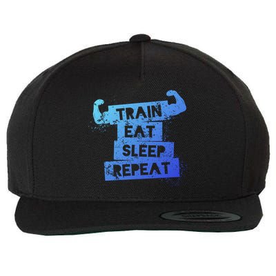 Gym Gift Train Eat Sleep Repeat Gift Wool Snapback Cap