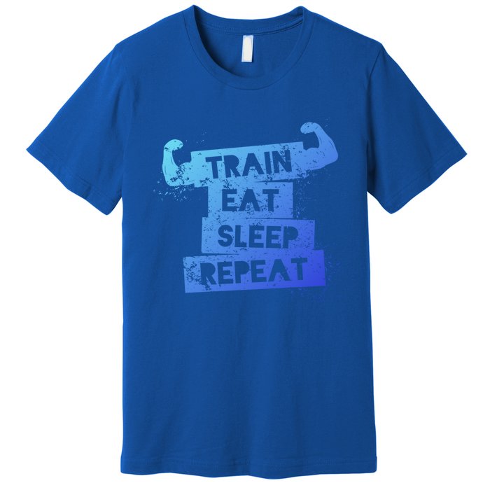 Gym Gift Train Eat Sleep Repeat Gift Premium T-Shirt