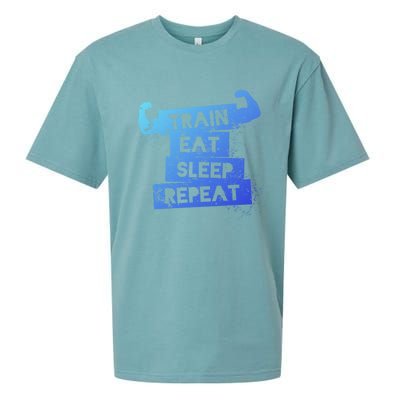 Gym Gift Train Eat Sleep Repeat Gift Sueded Cloud Jersey T-Shirt