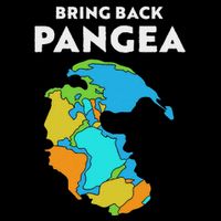 Geography Gift Women Geology Reunite Pangea 16 in Basic Backpack