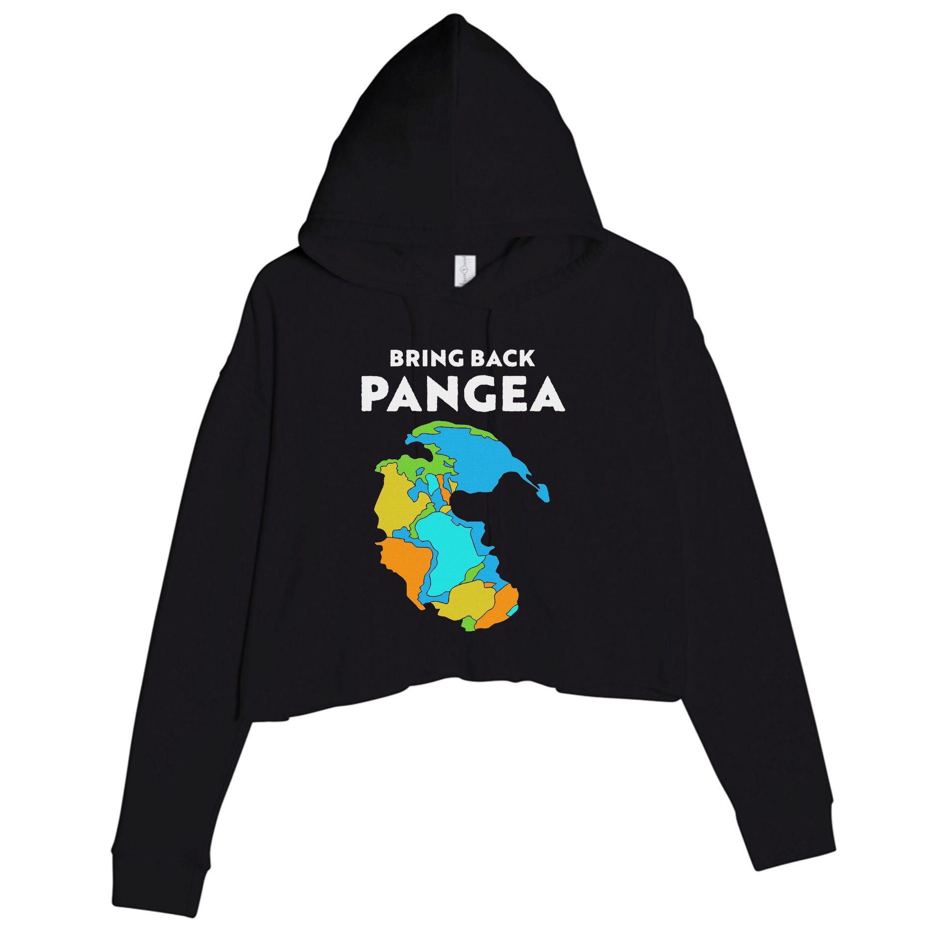 Geography Gift Women Geology Reunite Pangea Crop Fleece Hoodie