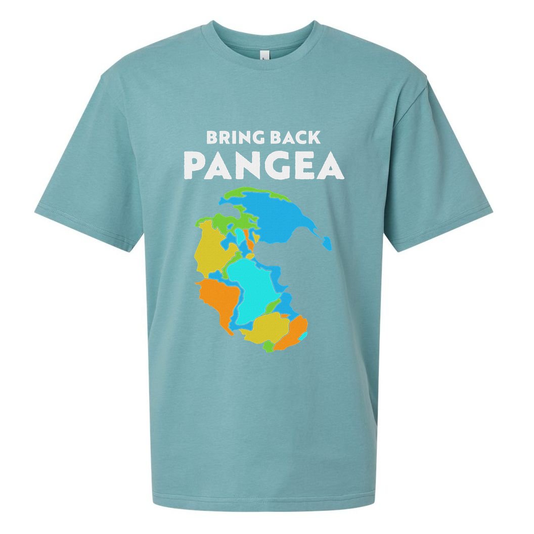 Geography Gift Women Geology Reunite Pangea Sueded Cloud Jersey T-Shirt