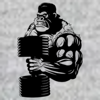 Gorilla Gym Weight Lifting Workout Training Tall T-Shirt