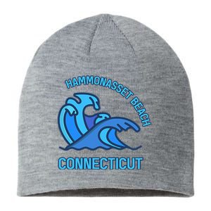 Graphic Hammonasset Beach Connecticut Pocket Wave Souvenir Sustainable Beanie