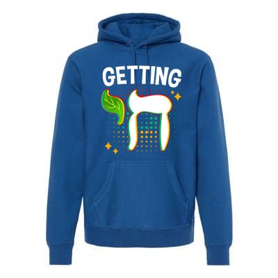 Getting High Chai Jewish Chanukkah Hanukkah Passover Sukkot Gift Premium Hoodie