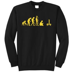 Gamer Human Evolution Funny Sweatshirt