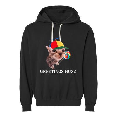 Greetings Huzz Funny Gen Z Gen Alpha Slang Silly Cat Meme Garment-Dyed Fleece Hoodie