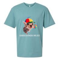 Greetings Huzz Funny Gen Z Gen Alpha Slang Silly Cat Meme Sueded Cloud Jersey T-Shirt