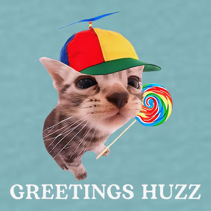 Greetings Huzz Funny Gen Z Gen Alpha Slang Silly Cat Meme Sueded Cloud Jersey T-Shirt
