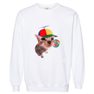 Greetings Huzz Funny Gen Z Gen Alpha Slang Silly Cat Meme Garment-Dyed Sweatshirt