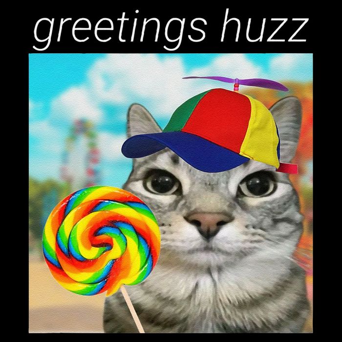 Greetings Huzz Funny Gen Z Gen Alpha Slang Meme Gift Womens T-Shirt