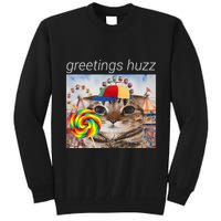 Greetings Huzz Funny Gen Z Gen Alpha Silly Cat Lollipop Meme Tall Sweatshirt