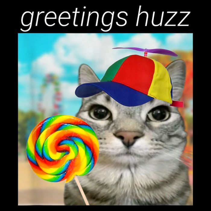 Greetings Huzz Funny Gen Z Gen Alpha Slang Meme Cropped Pullover Crew