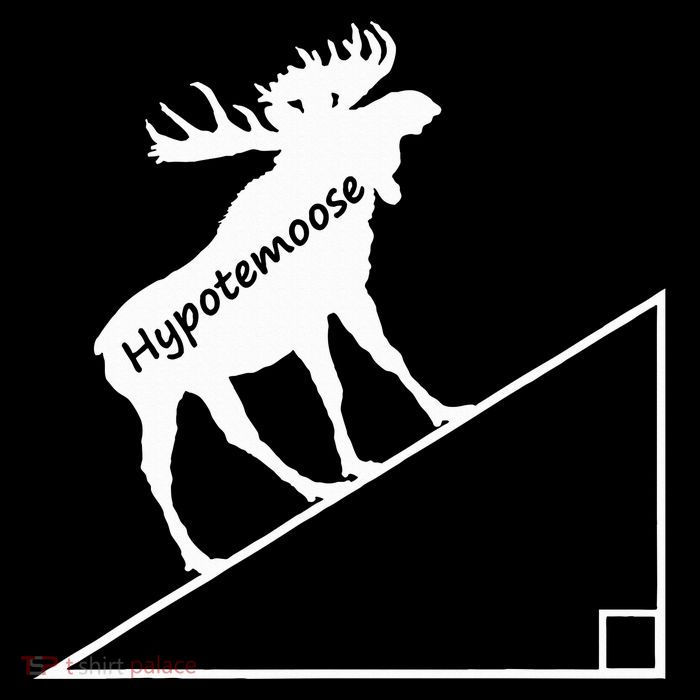 Geometry Hypotenuse Hypotemoose Poster